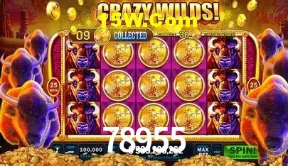78955 Brasília - Betting Features